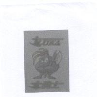 勇士 LUKA 及圖