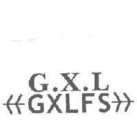 G.X.L GXLFS 及圖