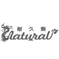 耐久能及龍圖