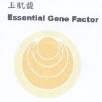 玉肌馥 Essential Gene Factor 及圖
