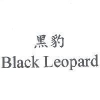 黑豹 Black Leopard