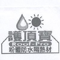 護頂寶及圖