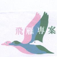 飛雁專案及圖