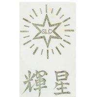 星輝及圖 SLC