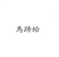 馬蹄蛤