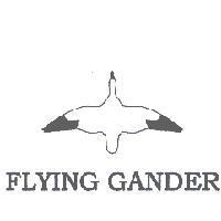 FLYING GANDER 及圖