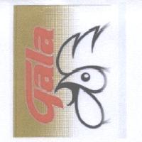 GALA 及設計圖