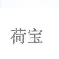 荷寶【 ROBECO (CHINESE TEKENS)】