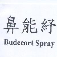 鼻能紓 Budecort Spray