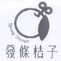 發條桔子 Spring Orange 及圖