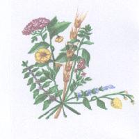 花圖