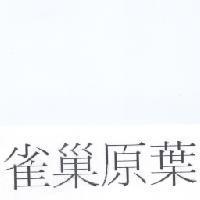 雀巢原葉