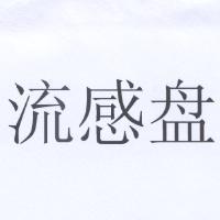 流感盤