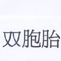 双胞胎