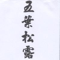 五葉松露