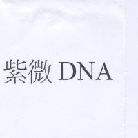 紫微 DNA