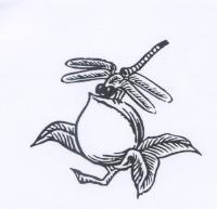 桃子圖