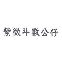 紫微斗數公仔