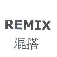 REMIX 混搭