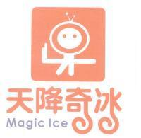 天降奇冰 Magic Ice 及圖