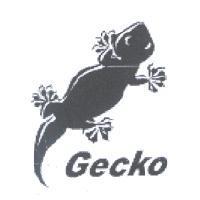 Gecko 及圖