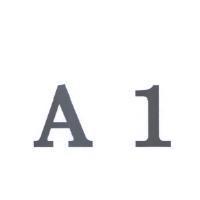 A1