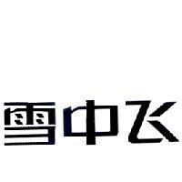 雪中飛