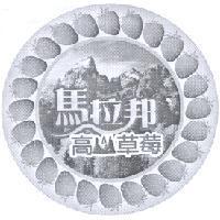台創食品股份有限公司標章