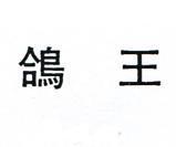 鴿王