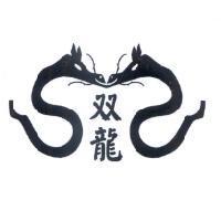 双龍及圖