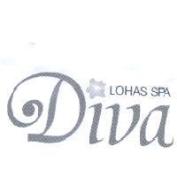 DIVA 及圖