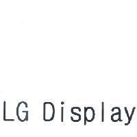 LG Display
