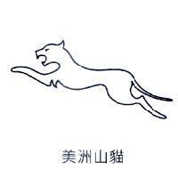 美洲山貓及圖