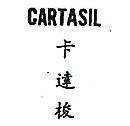 卡達梭 CARTASIL 