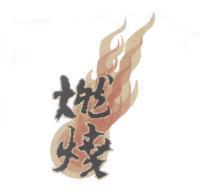 燃燒及火焰圖
