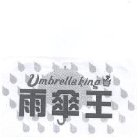 雨傘王 umbrellaking 及設計圖