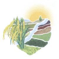 米圃公司標章