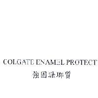 COLGATE ENAMEL PROTECT 強固琺瑯質