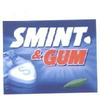 SMINT & GUM & Device