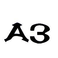 A3