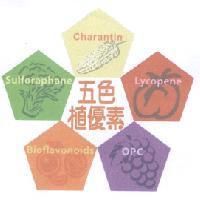 五色植優素 Charantin 、 Lycopene 、 OPC 、 Bioflavonoids 、 Sulforaphane 及圖