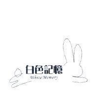 白色記憶 White Memory 及圖
