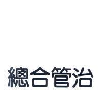 總合管治