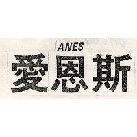 愛恩斯 ANES 