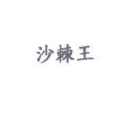 沙棘王