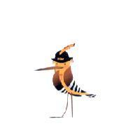 鳥先生圖