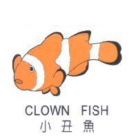 小丑魚 CLOWN FISH 及圖