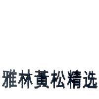 雅林黃松精選(YELLAWOOD SUPERSELECT in Chinese Characters)