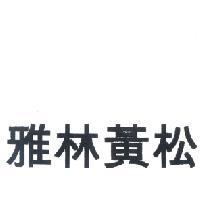 雅林黃松