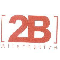 2B Alternative 及圖
